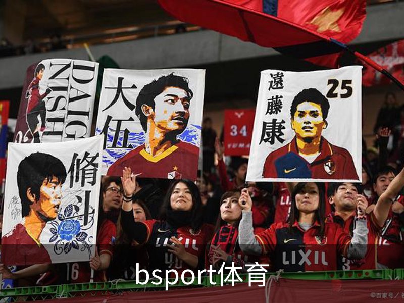 bsport体育概况